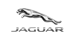 Jaguar.jpg